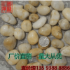 批发 1-2cm 白色水洗鱼缸石 天然鹅卵石 雨花石 荆江石 举报