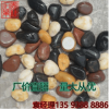 批发 1-2cm 五彩混色水洗鱼缸石 天然鹅卵石 雨花石 荆江石