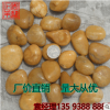 批发 2-3cm 黄色水洗鱼缸石 天然鹅卵石 雨花石 荆江石