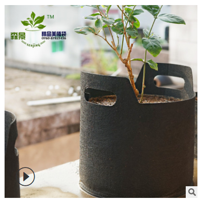 出口版黑色无纺布美植袋/grow bag植树袋种植袋育苗袋Fabric pot