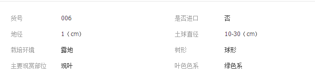 QQ截图20190226172129