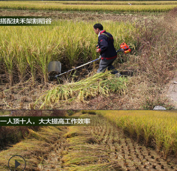 批发果园专用除草松土机 背负式汽油除草机 农用除草旋耕机