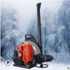小型便携手提式吹风吹雪机 背负式路面吹雪机 大棚庭院吹尘机