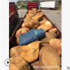 广东园林工程黄腊石-苏州黄蜡石-草坪置景石-厂家供应