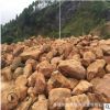 园林假山景观黄腊石供应小型天然黄蜡石优质黄腊石广东景观石