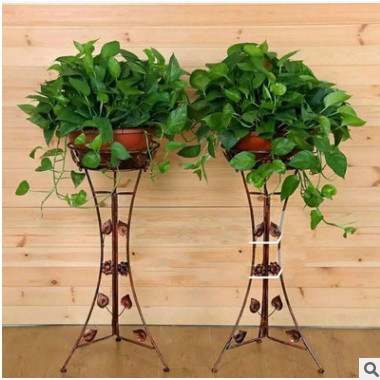 360 广州 绿萝 绿色花草植物花卉园林资材盆栽批发绿航办公室