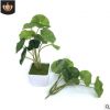 仿真绿植植物小荷叶 金钱叶 铜钱草 仿真花盆景仿真荷叶 仿真绿叶