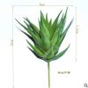 仿真多肉植物 迷你条纹芦荟 塑胶绿植装饰盆景盆栽 室内客厅插花