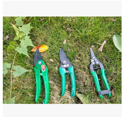 QQ截图20190411104045