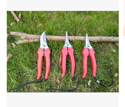 QQ截图20190411104259