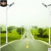 厂家直销道路照明6米太阳能路灯 30W新农村户外照明太阳能LED路灯