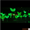供应照明造型花灯 LED鲜花造型图案时尚新颖向日葵 郁金香