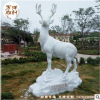 石雕动物 汉白玉石雕鹿 园林景观动物雕刻摆件 石雕小鹿厂家定做