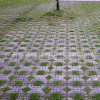 供应豪骏各种形状型 植草砖 停车场地砖 提供施工服务 地砖 施工