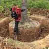 移栽断根挖树机 苗圃断根起树机 电线杆树木移栽挖坑机