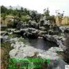 英德批发太湖石精品 庭院假山驳岸石太湖石的价格直销景观假山石