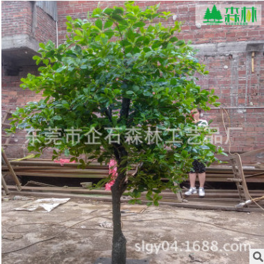 批发仿真福禄桐盆栽 仿真手感圆叶小榕树 北欧酒店装仿真盆栽绿植