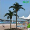 仿真椰子树工厂 河北人造海南椰子树 游乐园仿真椰果树定做 椰树