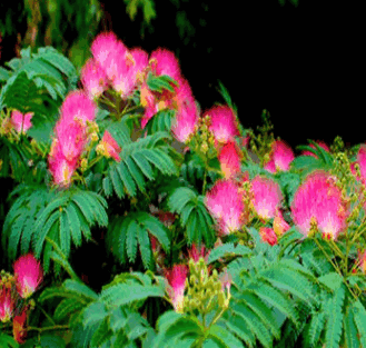 2019-05-27_122450