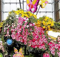 节日雕塑_花卉雕塑_鲜花造型_活动庆典_花艺造型
