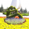 淄博凯创园林景观工程公司五色草雕塑