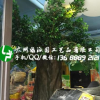仿真榕树 工厂大型仿真古榕树假树