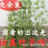 仿真竹子 假竹子屏风隔断高仿真毛竹 加密带叶造景绿植竹子