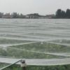 全新防虫网大棚专用蔬菜养殖网尼龙网防鸟网全新大棚防雹网