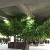 仿真榕树厂家直销　半边靠墙榕树包柱榕树室内外景观榕树定做