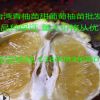 台湾青柚苗 甜葡萄柚苗 纯正品种 四季开花 结果快 甜度高