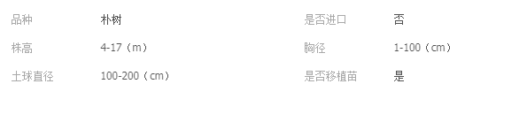 QQ截图20190715100946