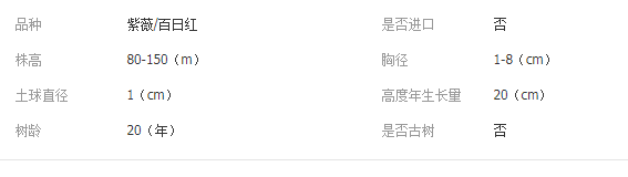 QQ截图20190716101919