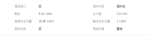 QQ截图20190716102455