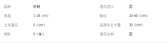 QQ截图20190717100253