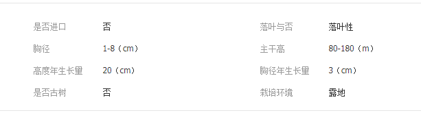 QQ截图20190717101556