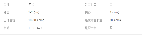 QQ截图20190717102746