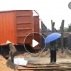 低价大量供应绿化苗木夹竹桃农户自家花场直销宠物及园艺园林