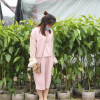 批发芳香植物 白兰花盆栽树苗 浓香花卉 客厅绿植 四季长青苗木