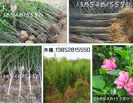 QQ截图20190902091613