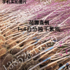 紫荆