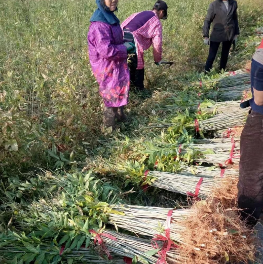 QQ截图20190923091903