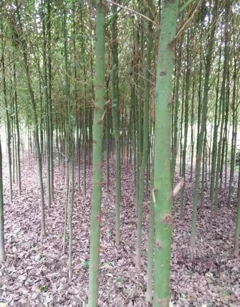 QQ截图20190923092901