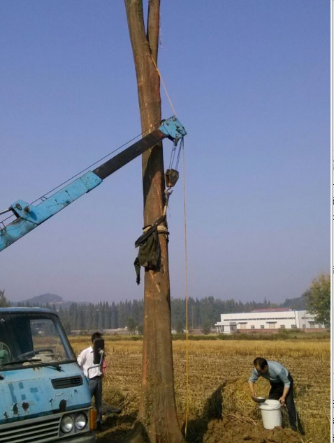 QQ截图20190924093531