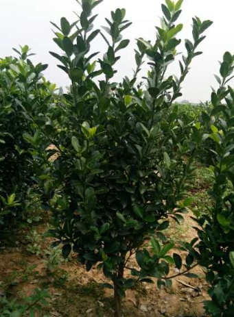 QQ截图20190927091403