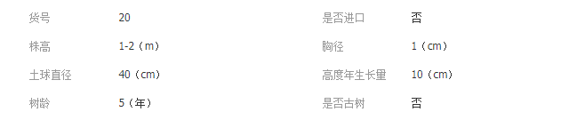 QQ截图20191009113947