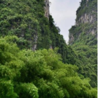 河池，用绿色润泽民生