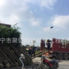 普宁绿化芒果树苗普宁5公分种植基地普宁绿化芒果大树风景树种类