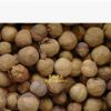 缅甸金丝柚木种子柚木种子当年新采质量