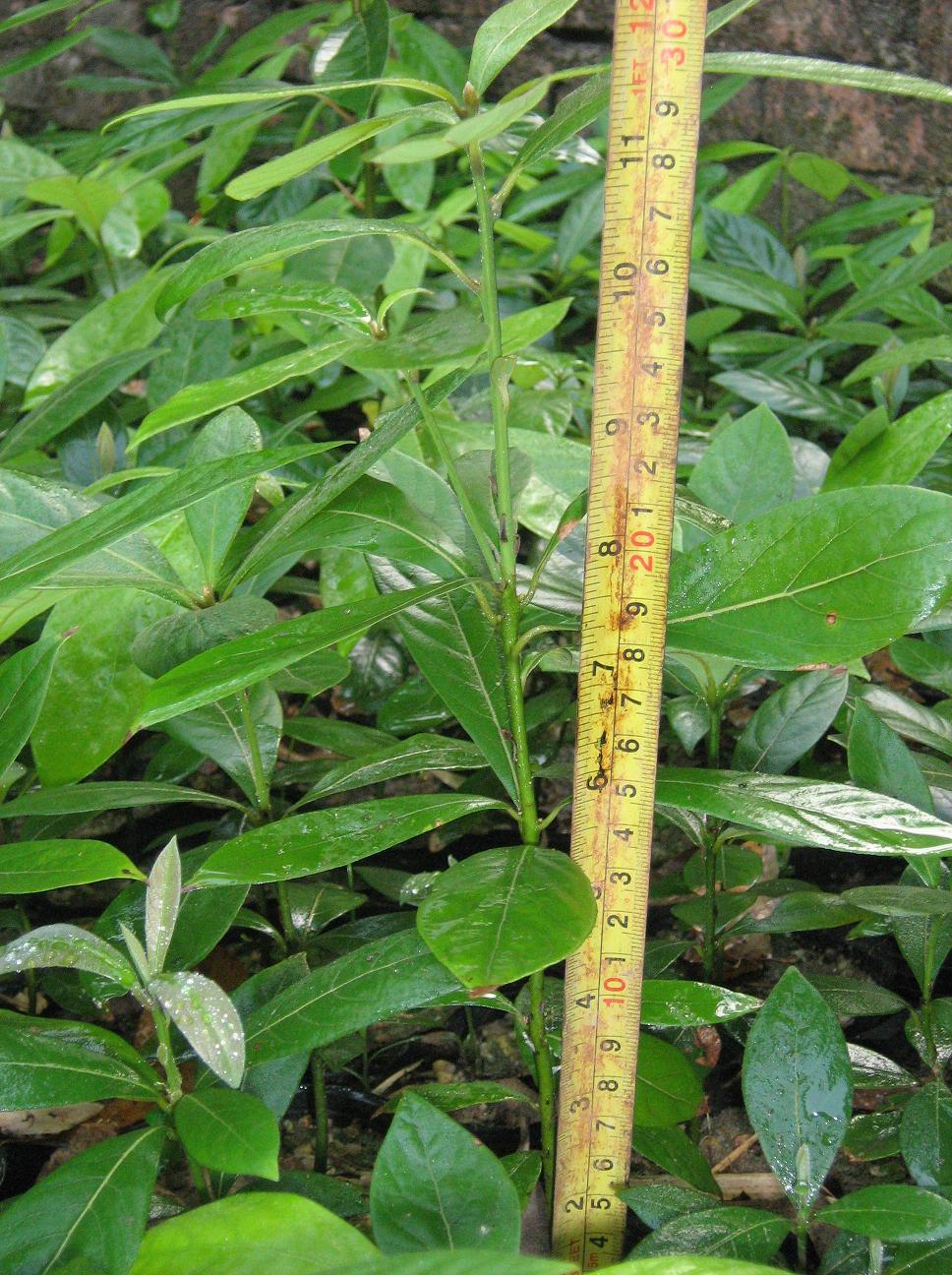 1682642016925173756 (2)