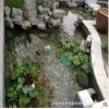 深圳景观鱼池假山塑石水景喷泉水净化过滤循环系统